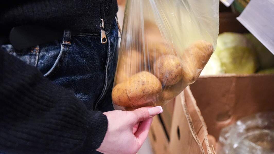    Фото: ИЗВЕСТИЯ/Эдуард Корниенко