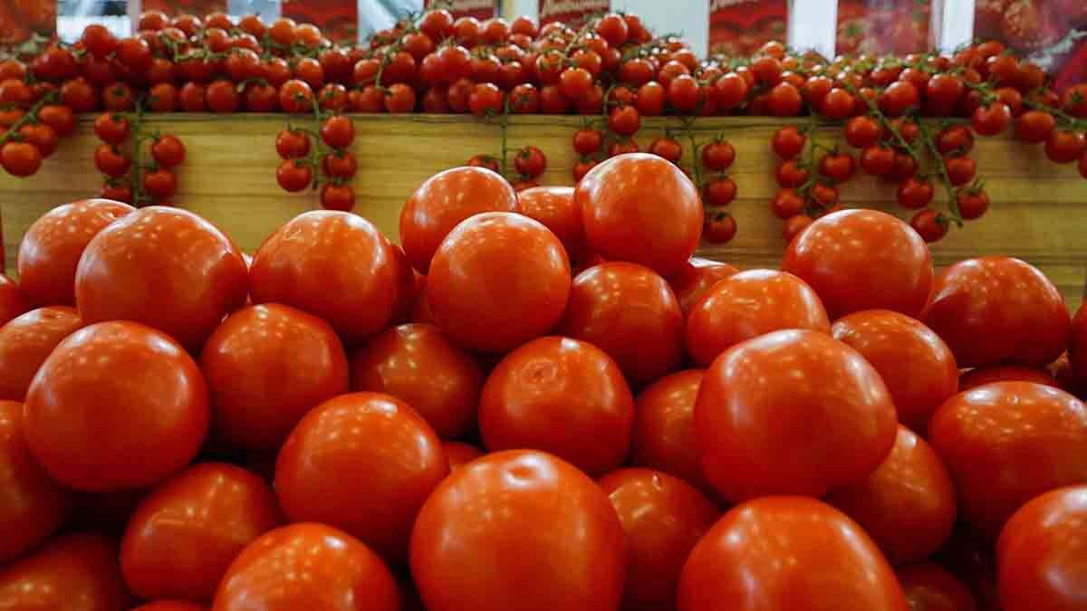    Фото: Александр Авилов / АГН Москва