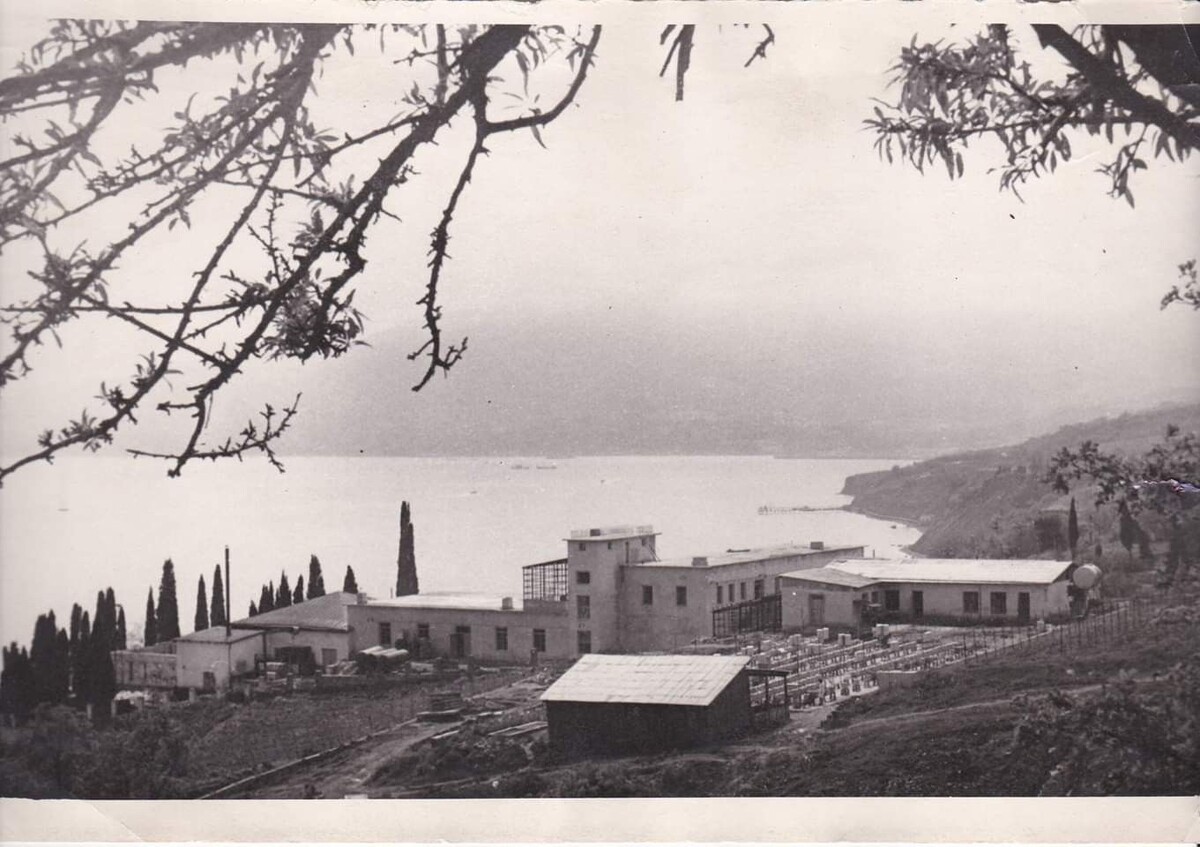 Винзавод "Магарач". Архивное фото.