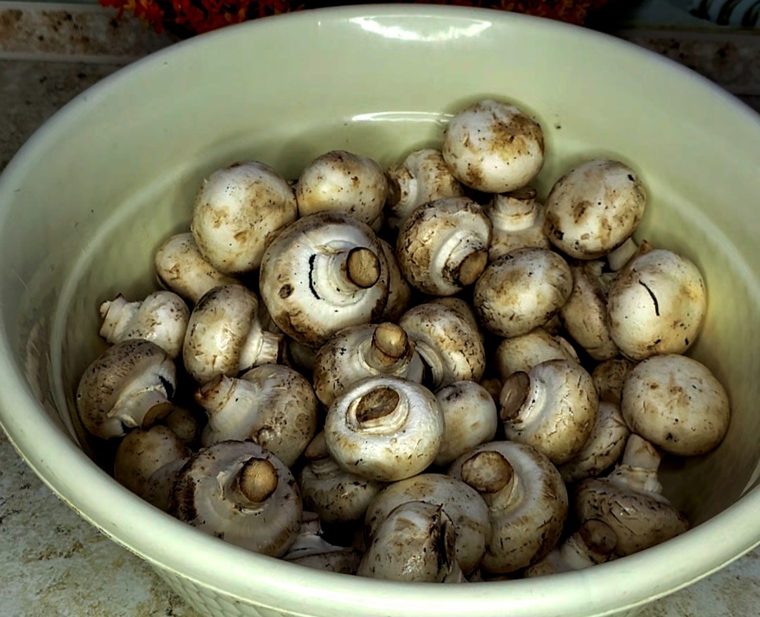 Бывают шампиньоны чистые, но мне попались не очень.