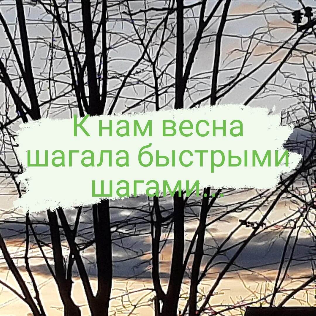 Фото прислала Елена Павлова