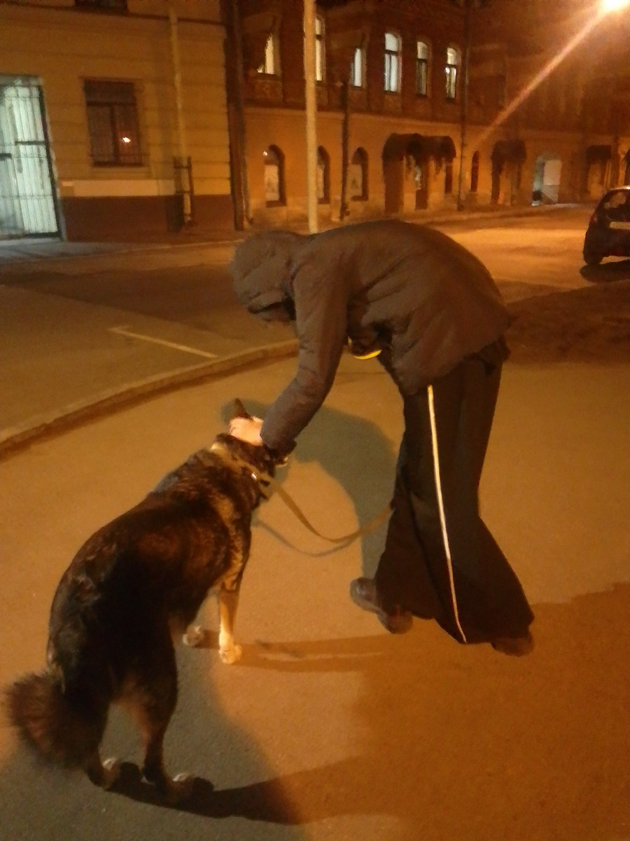 Гуляем с соседской собакой. Гамма - тот камень преткновения, из-за которого постоянно ругается мама дагестанского семейства.