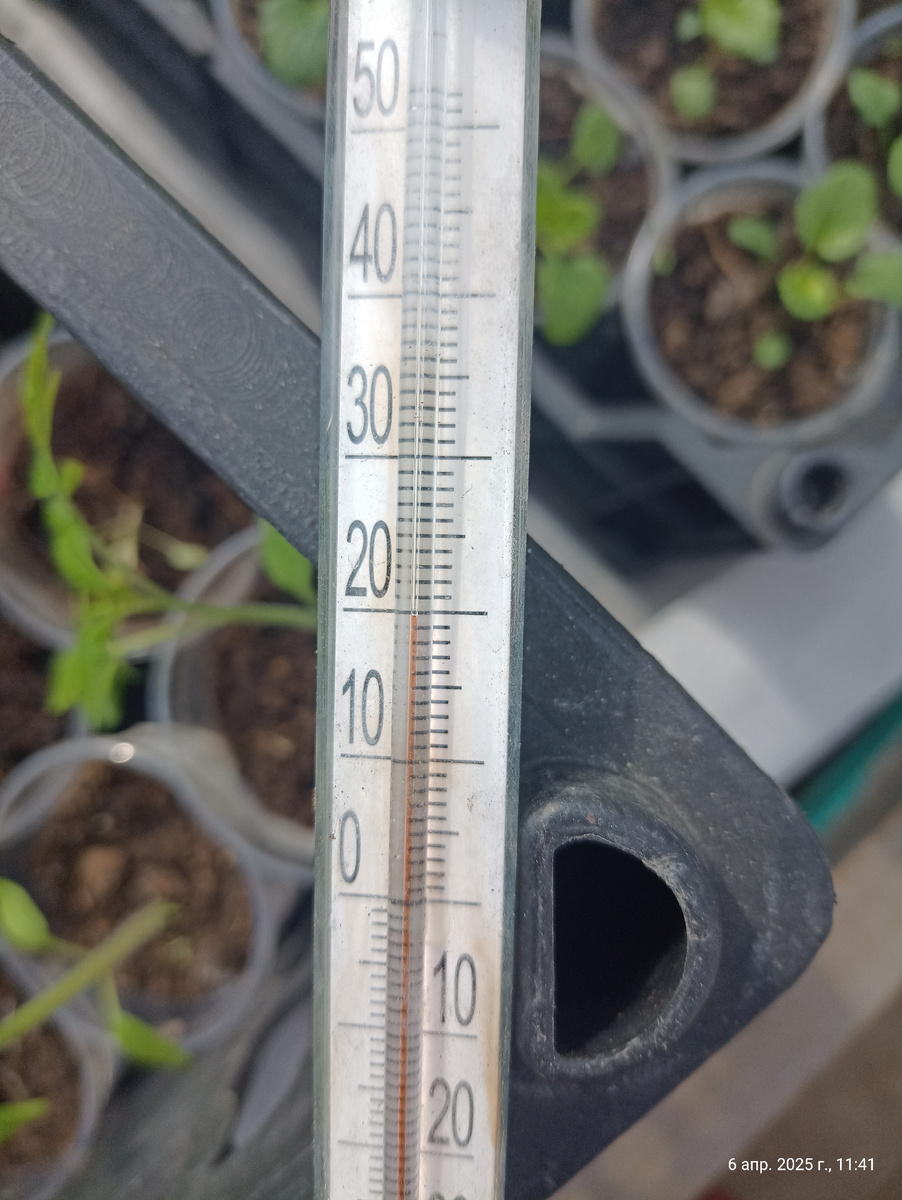 Моё. Днём в теплице комфортно