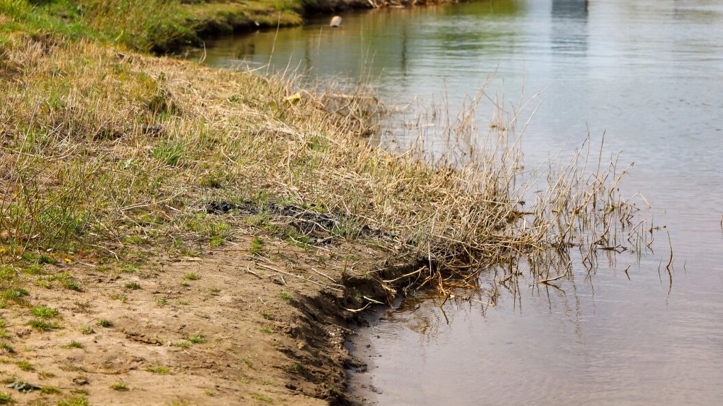    Фото: Elena Mayorova/Globallookpress