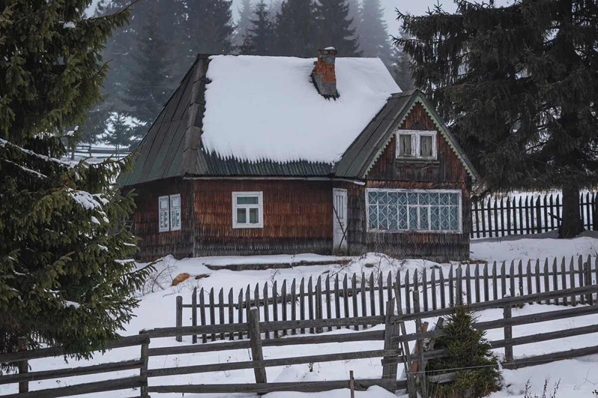    Дайте кусту «подышать».