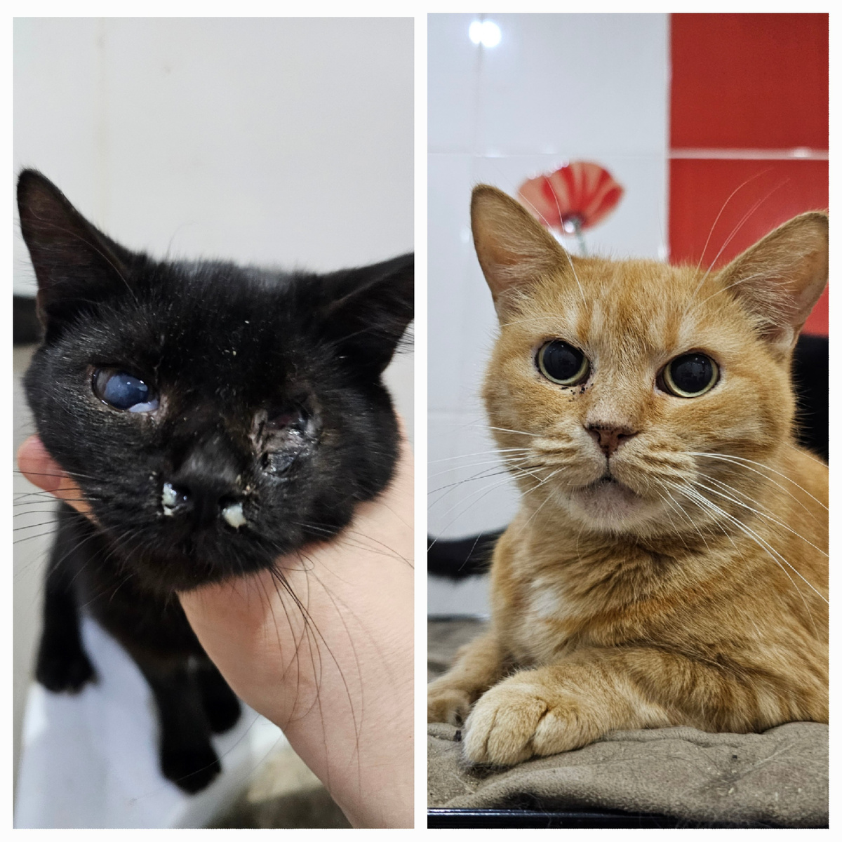 Фото автора. Ева и Жанне.