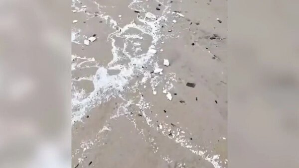 Telegram / novorosstoday