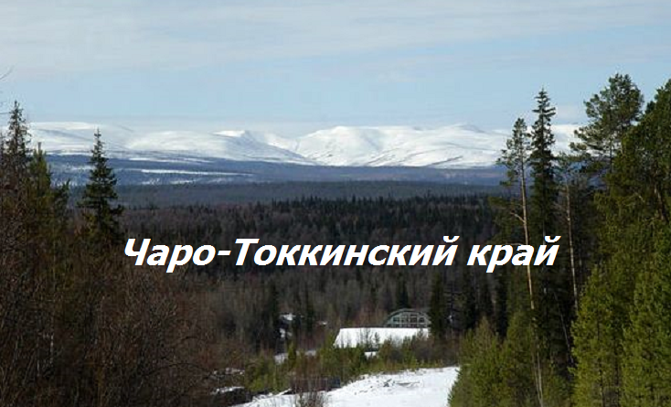 Окрестности посёлка Торго