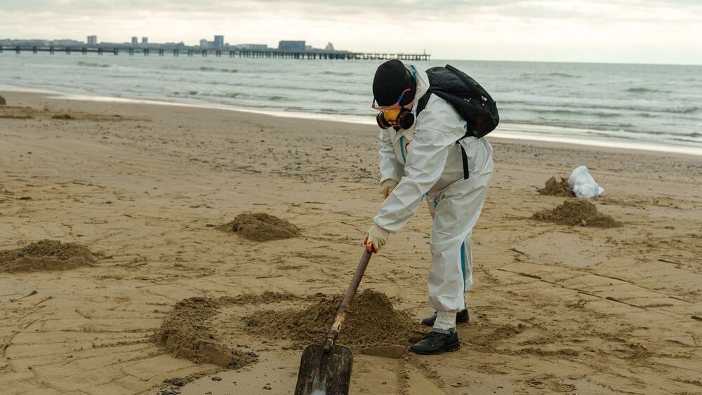    Фото: Barera Studio/Shutterstock/Fotodom