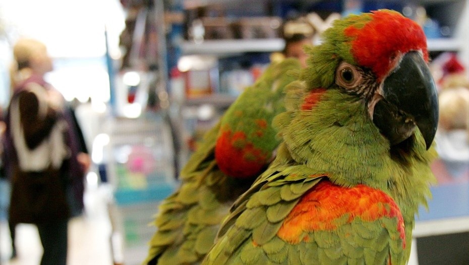    Автор фото: архив "ДП"