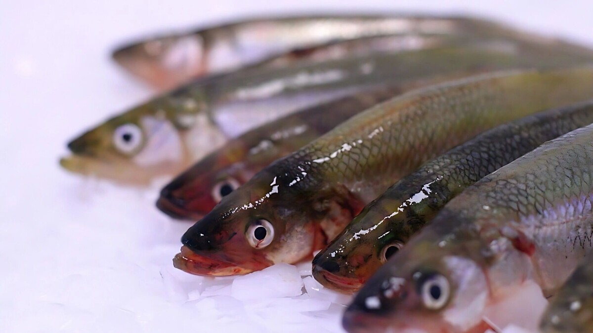     Источник: Росрыболовство