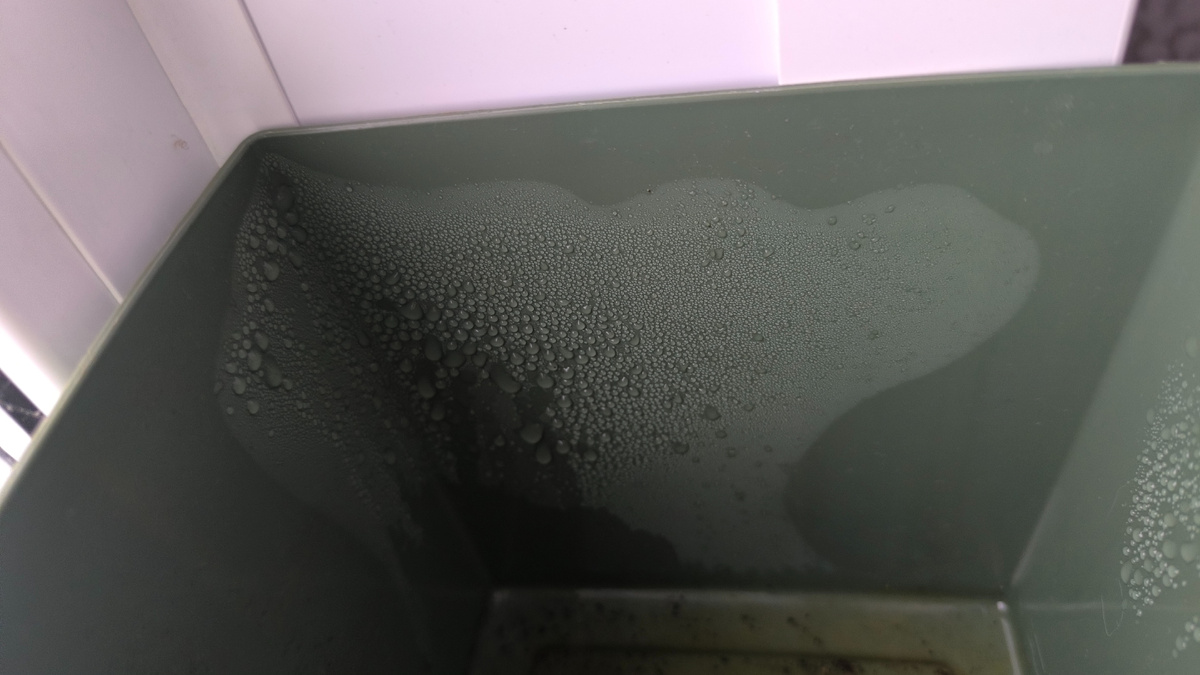 Конденсат на стенка между вставкой и кашпо.