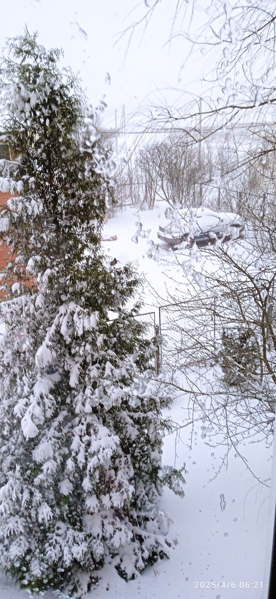 Дёргается только муж: "Ты, пожалуй, горнолыжный костюм красненький возьмии и валенки. А ещё, давай, я поеду на день раньше и заберу из квартиры насос и доп.станцию, и приставку к телевизору. Всё подключу и прогоню, прогрею, а потом уже вас заберу!"