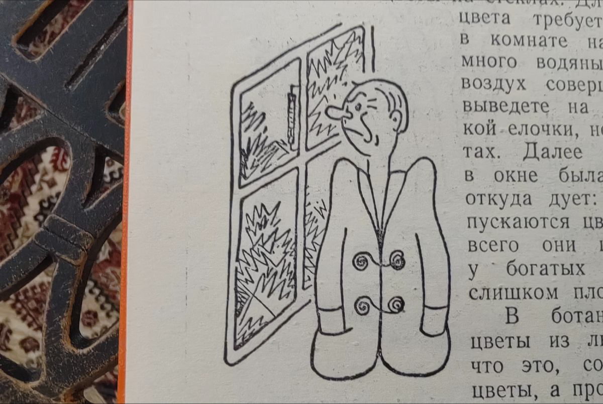 К. Чапек. Иллюстрация к Году садовода. 