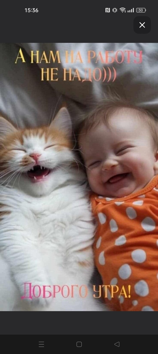 Доброе утро!