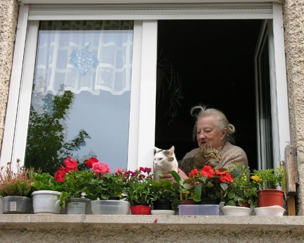 фото на стене было много