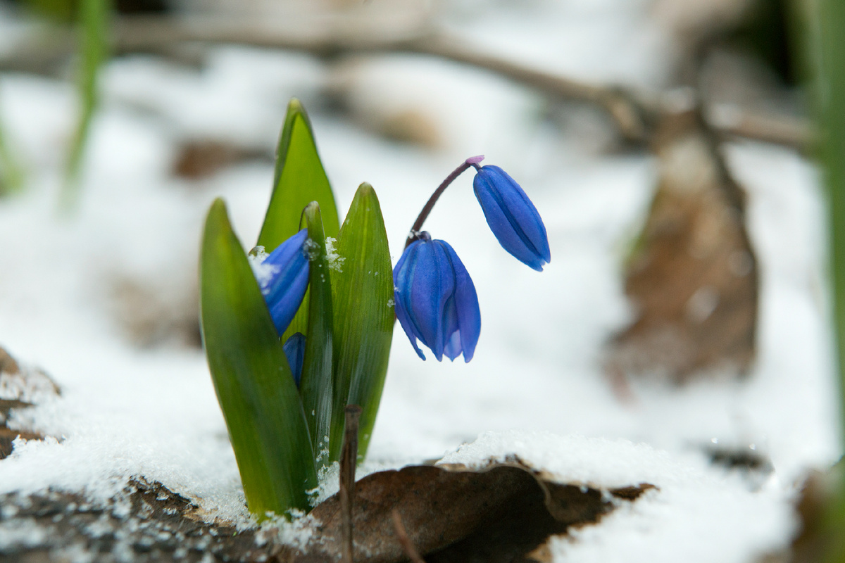 Источник: globallookpress.com