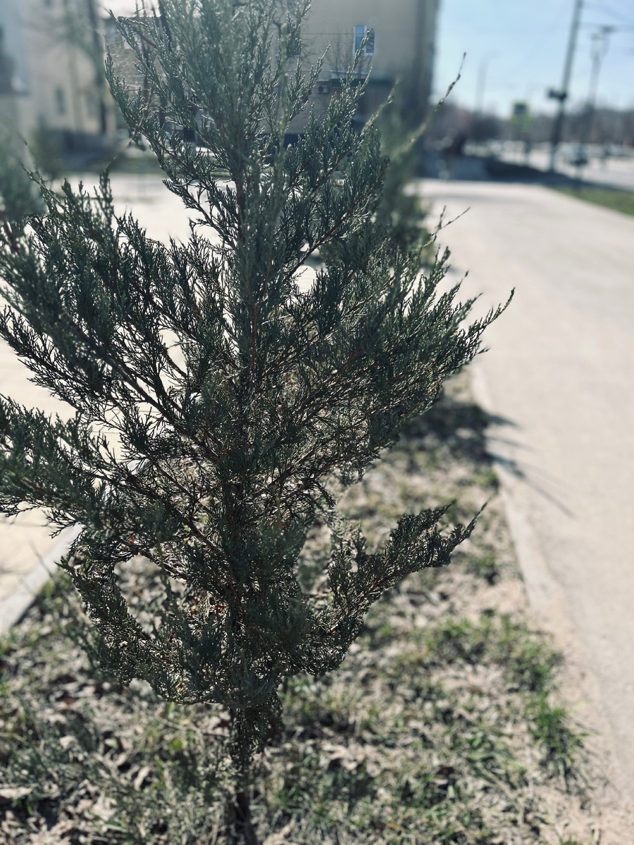 Фотография автора канала.