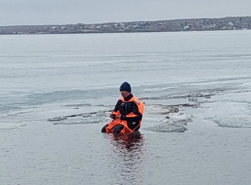 Фото: Сообщество «Говорит Озерск» в ВКонтакте