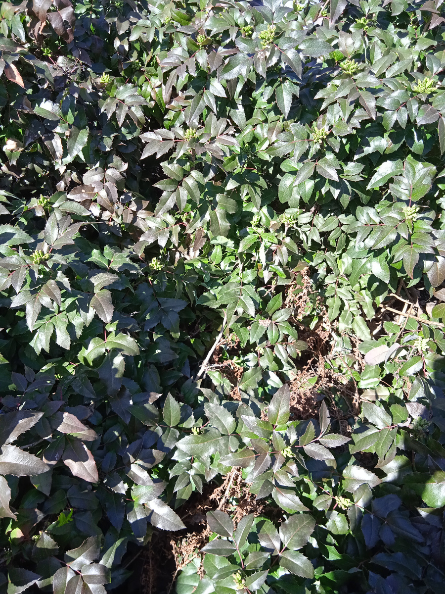 Фото автора канала. 