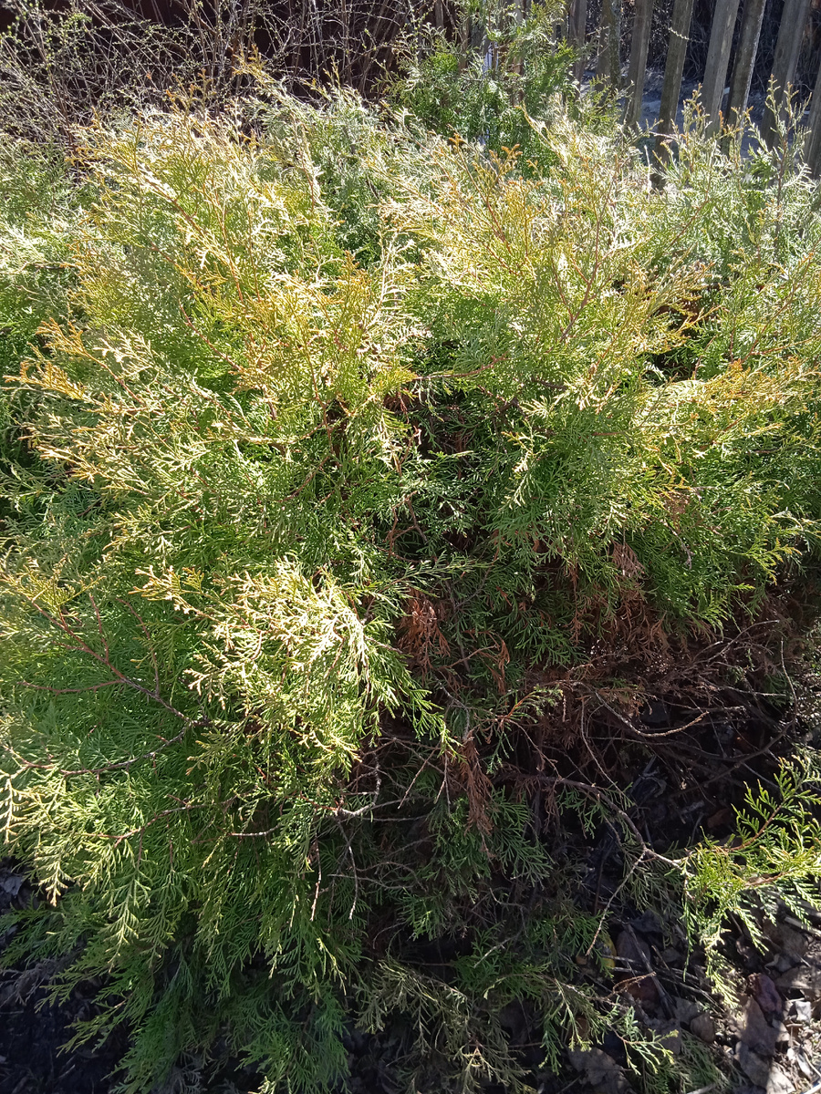 Фото автора канала. 