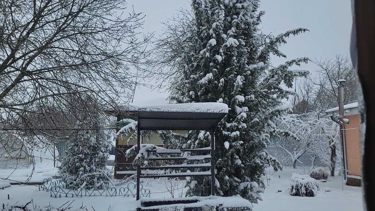 зимняя красота;)