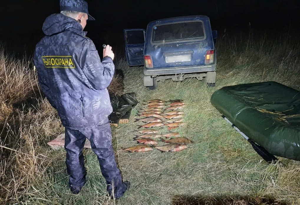 Браконьер задержан. Фото из открытых источников "Яндекс картинки!.