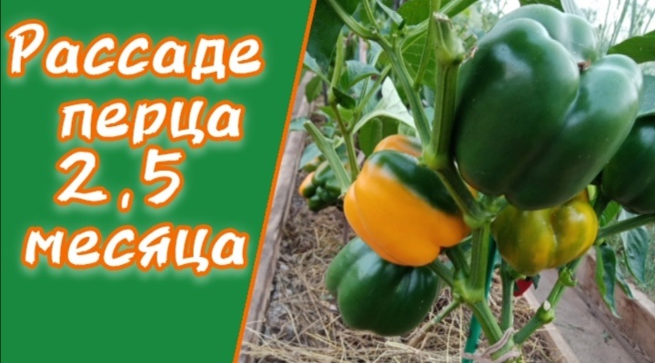 обложка статьи. 