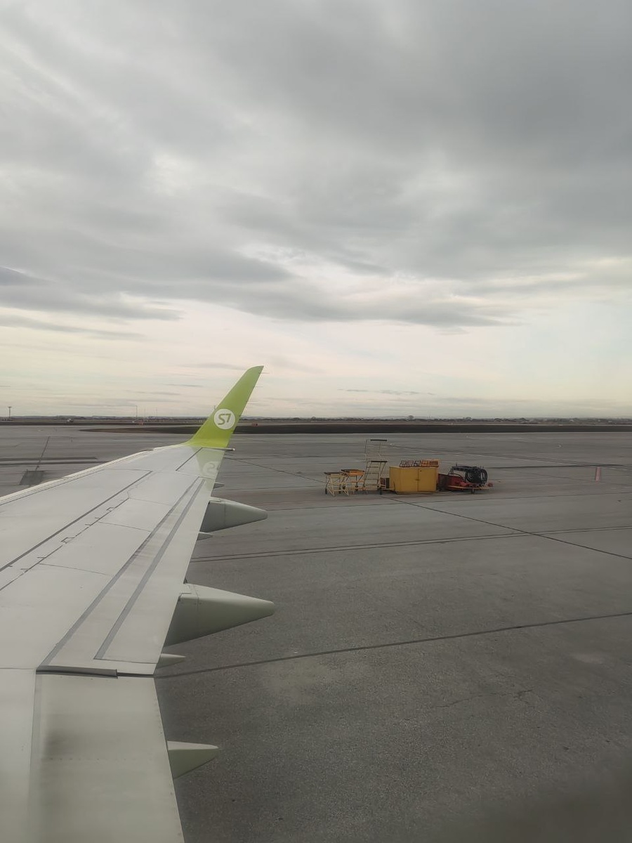 Доча из самолета скинула 