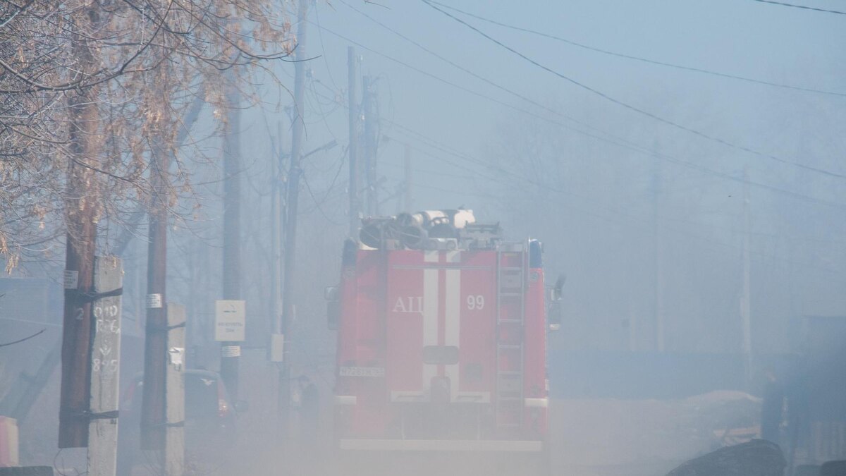    Фото: Svetlana Vozmilova/Global Look Press