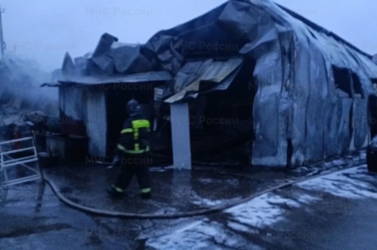    В Клинцах на пожаре в автосервисе пострадал человек и повреждены семь машин