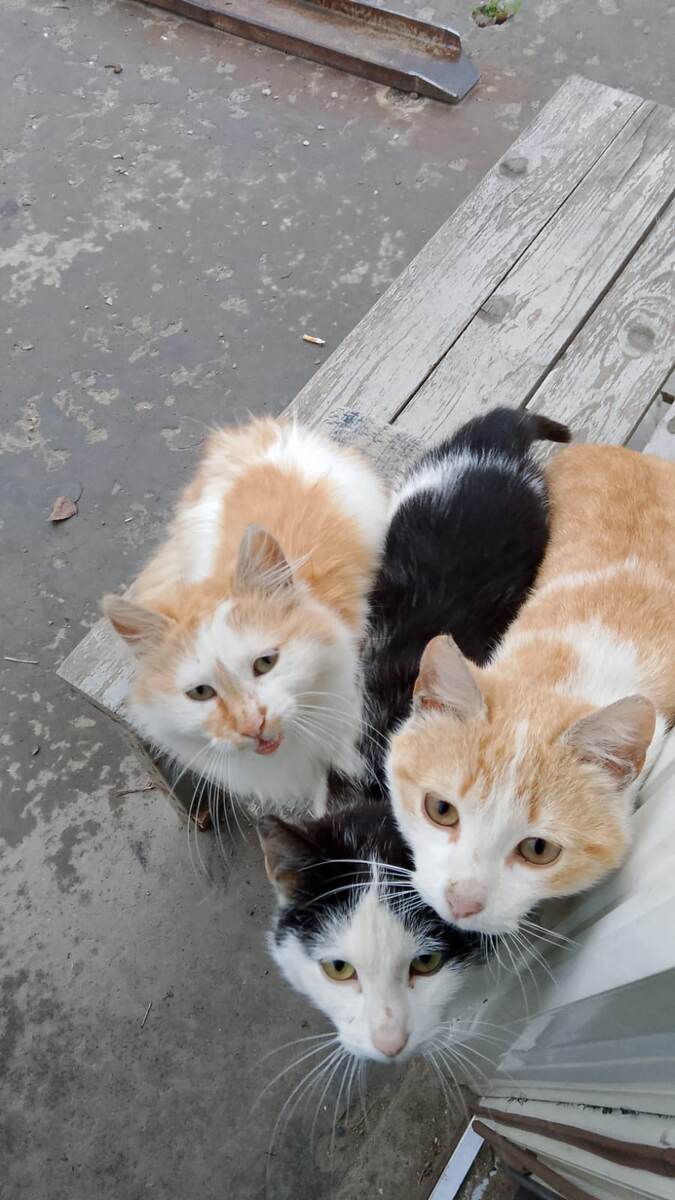 Фото автора.