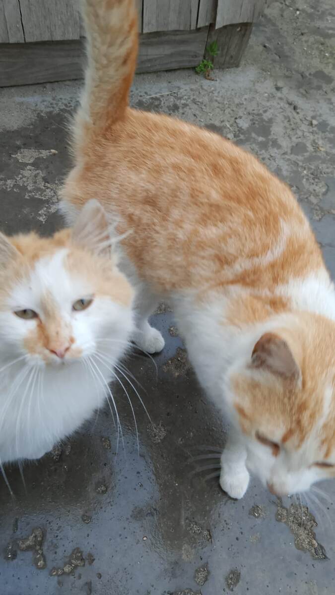 Фото автора.