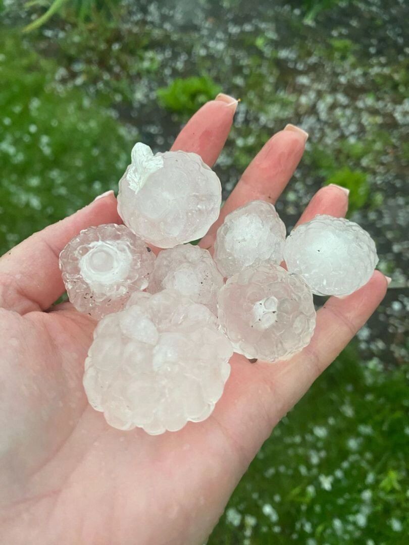     Источник: Телеграм-канал izobil126