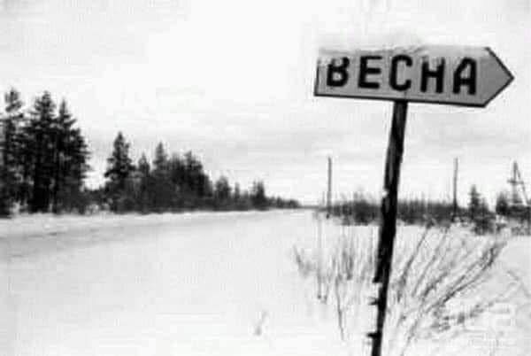 6 апреля 2025 года