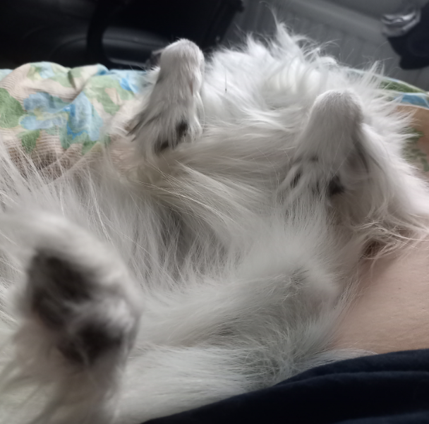 Спящий Роки. Вид от меня