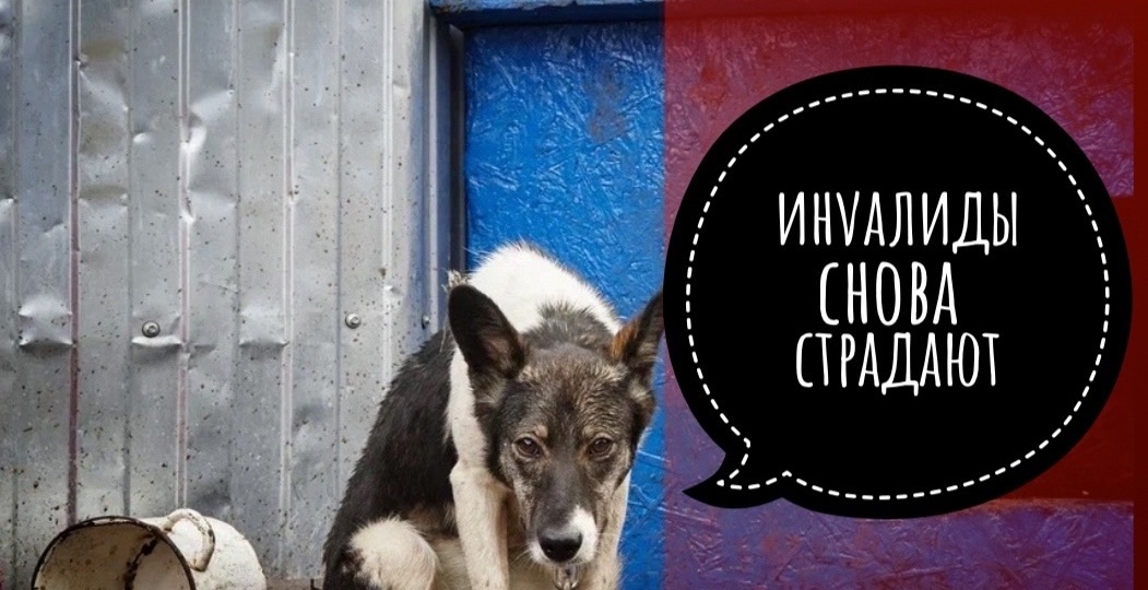 Мы НЕ СОБРАЛИ на аренду, неужели инvалиды окажутся на улице?