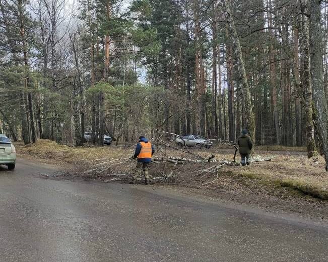    Фото: Управление дорог Красноярска