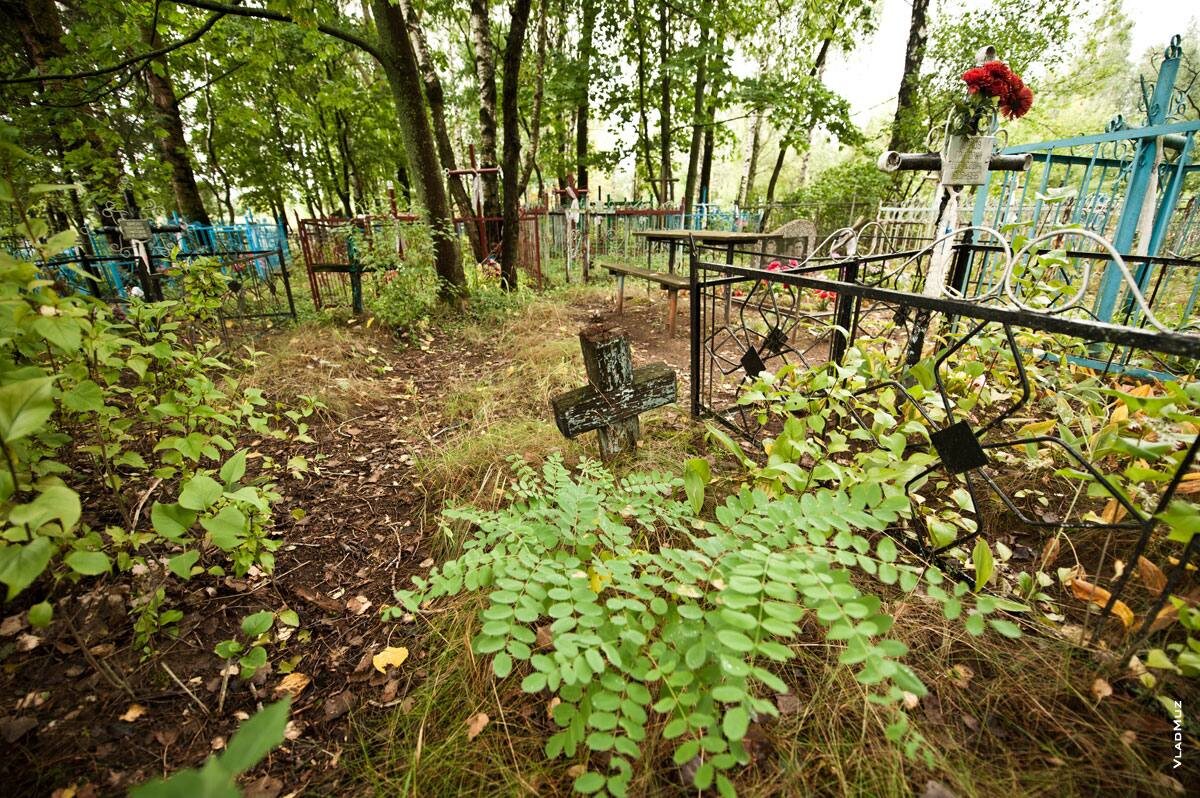 Из открытых интернет источников.