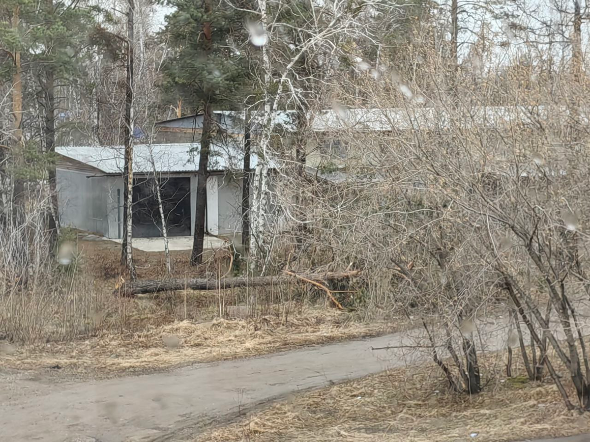 Ветер ломал деревья и вырывал с корнем