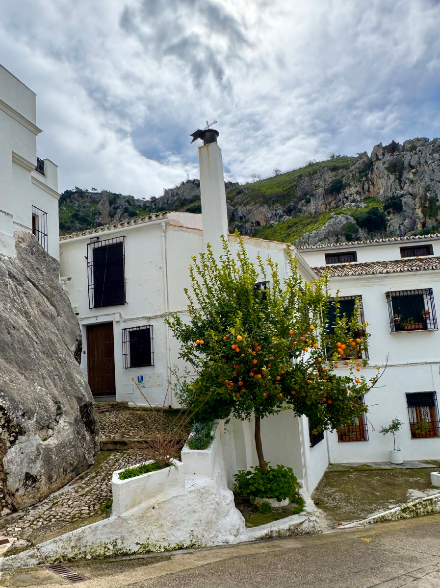 Фото Сад в стиле Paradise @