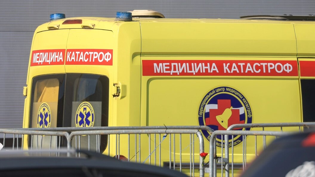    Shatokhina Natalia/Globallookpress