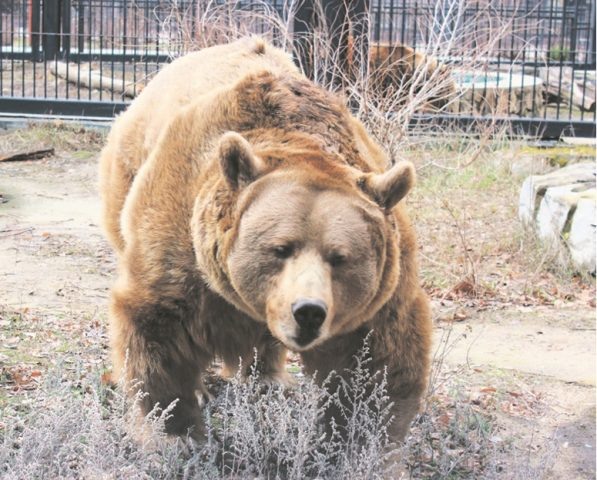     Автор фото: Виталий ГАРКУША