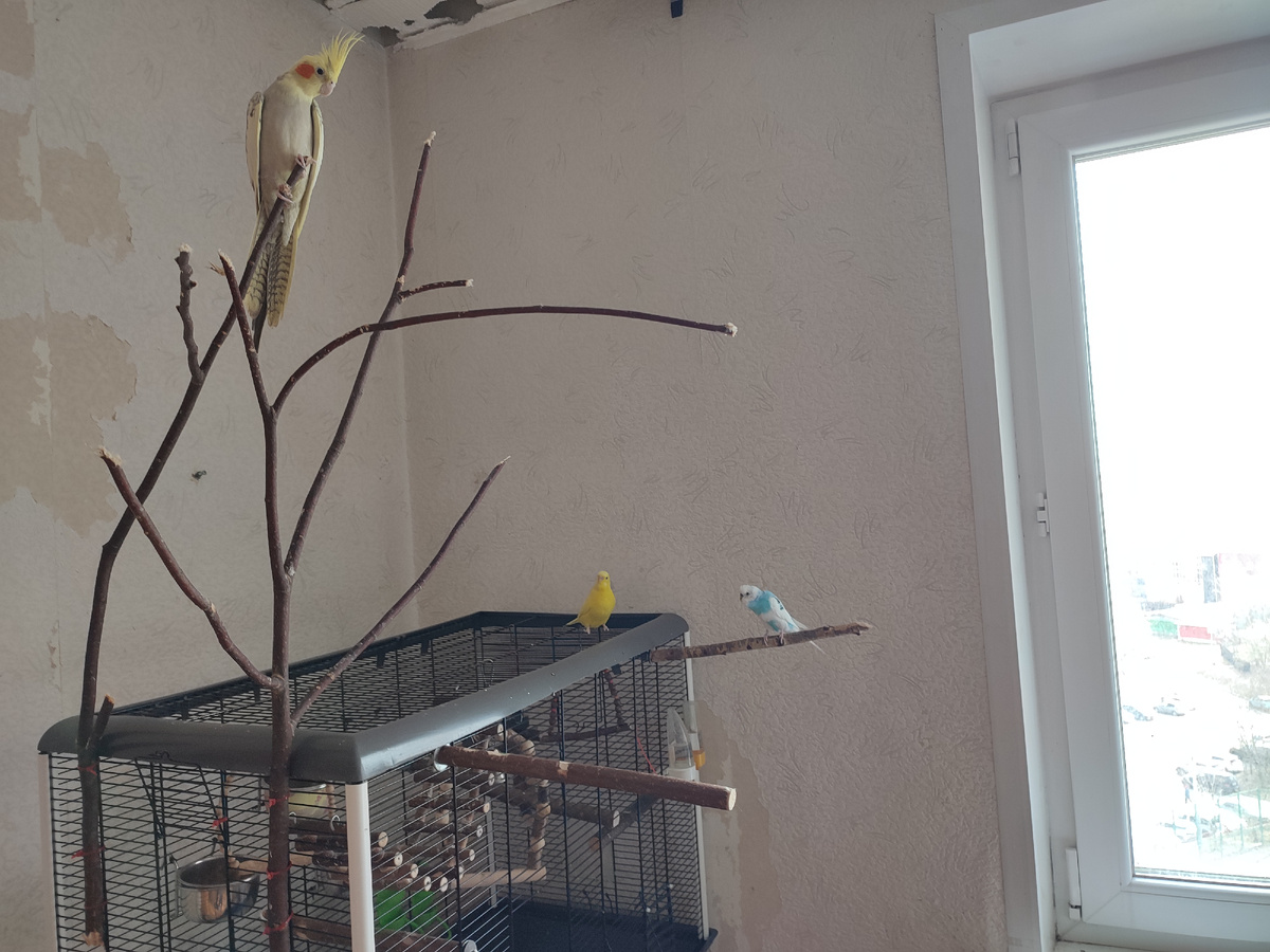 Эй, старшой, чего этот двуногий нас снимает