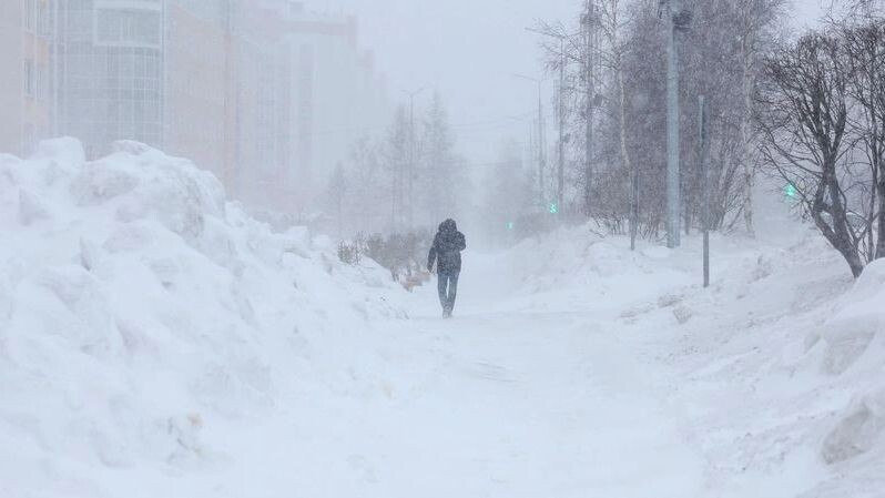    Фото: Андрей Ткачев/«Ямал-Медиа»