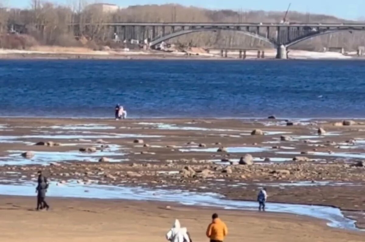    Ярославец нашел в обмелевшей Волге зуб мамонтенка