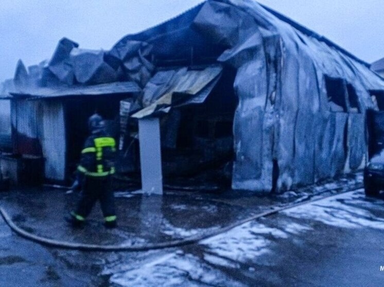     Фото: ГУ МЧС по Брянской области