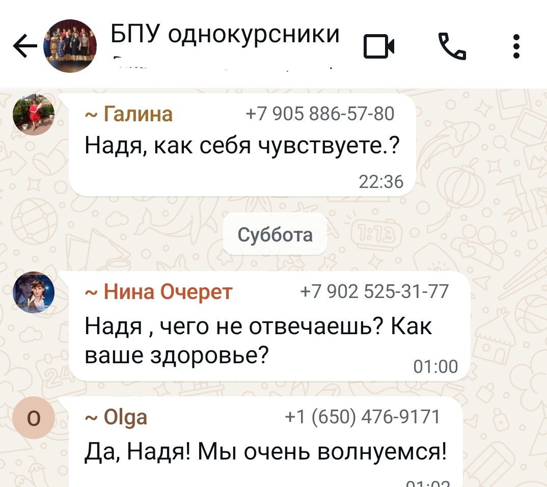 Скрин сообщений в нашем чате в Ватсап