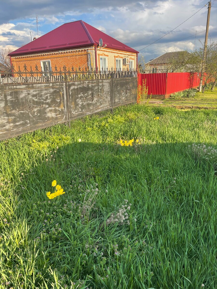 Дом на фото соседей. 