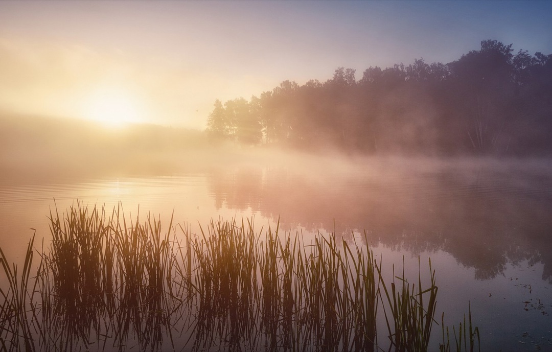 Яндекс. Картинки. 